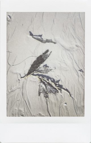 cayucos_2024_instax_02