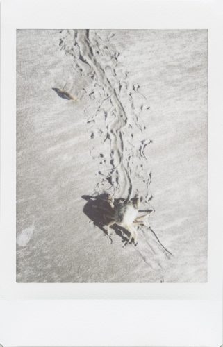 cayucos_2024_instax_03