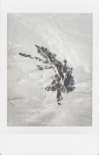 cayucos_2024_instax_04