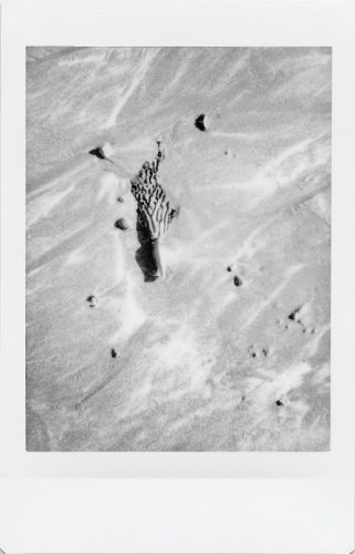 cayucos_2024_instax_08