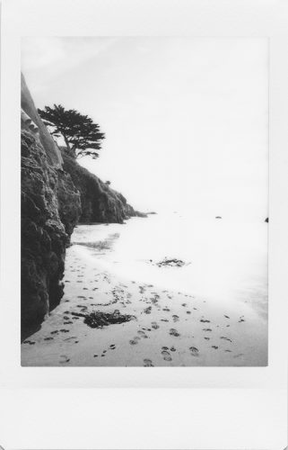cayucos_2024_instax_14