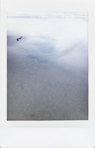 cayucos_2024_instax_30