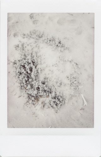 cayucos_2024_instax_31