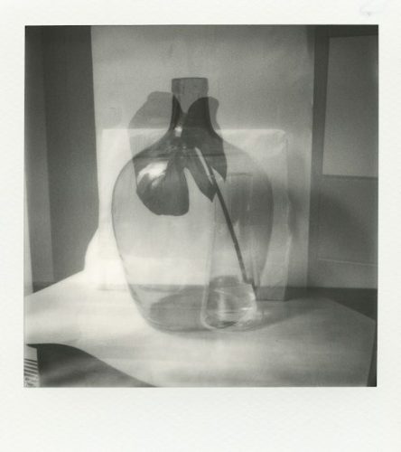 Message in a bottle